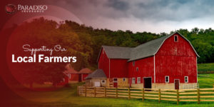 Read more about the article Supporting our Local Farmers