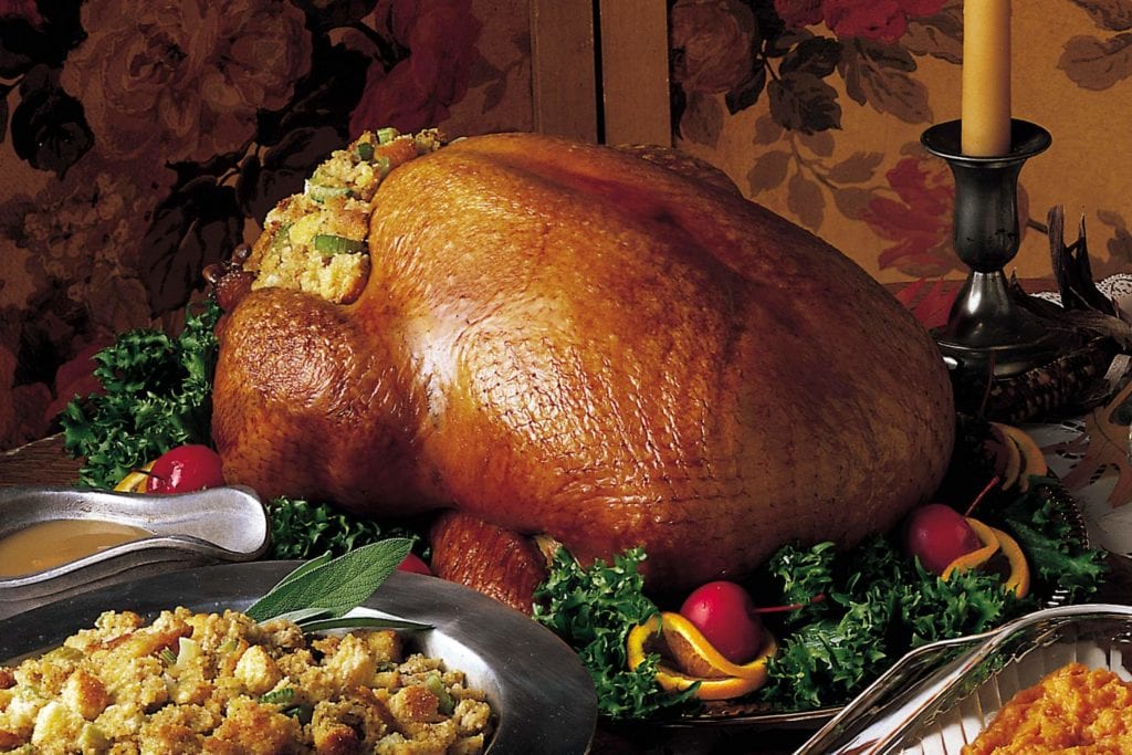 picture of a turkey