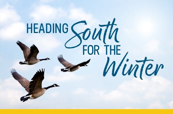 Heading South for the winter.