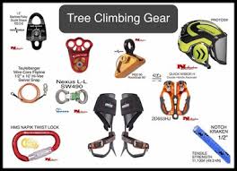 Images of the safety gear that Arborists need.