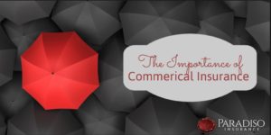 Read more about the article The Importance of Commercial Insurance