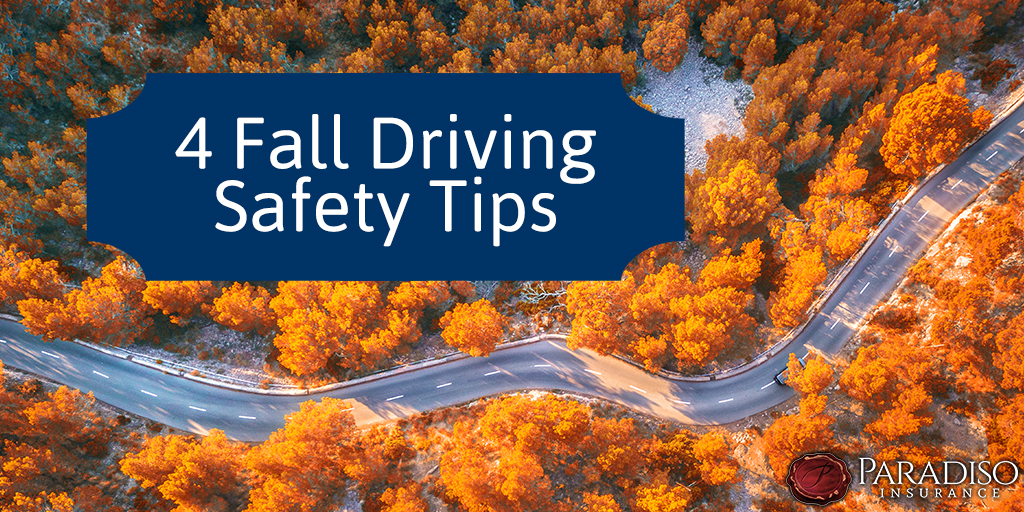 Four Fall Driving Safety Tips | Paradiso Insurance
