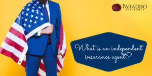 Read more about the article What is an Independent Insurance Agent?