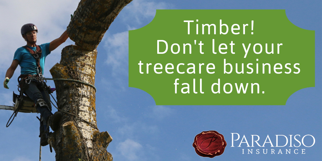 You are currently viewing The Importance of Arborist Safety