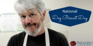 Read more about the article Celebrating National Dog Biscuit Day in Connecticut