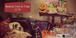 Read more about the article Reverse Trick or Treat 2016