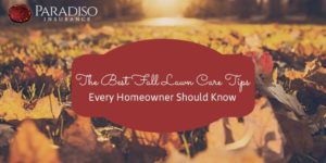 Read more about the article The Best Fall Lawn Care Tips Every Homeowner Should Know