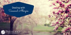 Read more about the article Dealing with Seasonal Allergies? We are too!