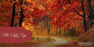 Read more about the article Fall Safety Tips