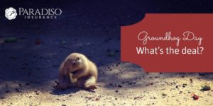 Read more about the article Groundhog Day: What’s the Deal?