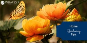 Read more about the article Home Gardening Tips