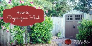 Read more about the article How to Organize a Shed