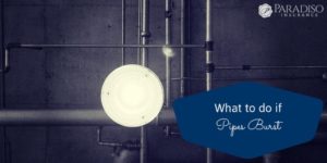 Read more about the article What to do if Pipes Bursts
