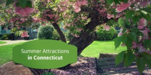 Read more about the article 3 Connecticut Attractions to Enjoy This Summer