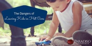 Read more about the article The Dangers of Leaving Kids in Hot Cars