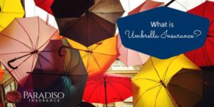 Read more about the article What is Umbrella Insurance?