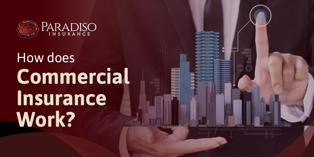 The Importance of Commercial Insurance | Paradiso Insurance