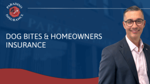 Read more about the article Dog Bites and Homeowners Insurance: What Every Policyholder Needs to Know